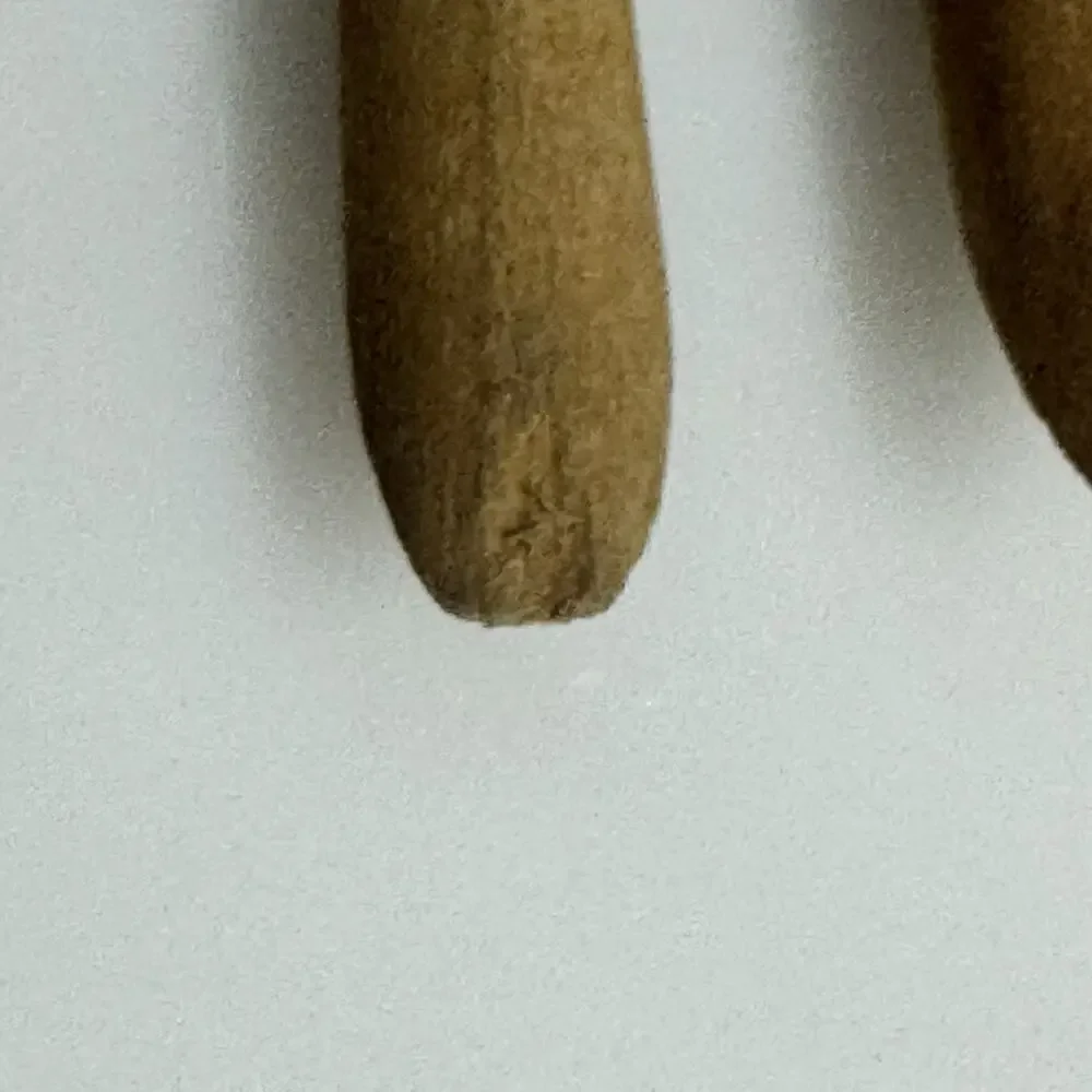 Vintage Cocktail Appetizer Forks Stainless Japan Wood Handle Set of 6